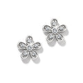 Enchanting Flower Post Earrings - Silver