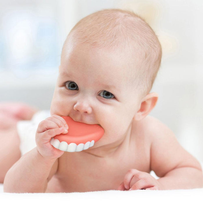 False TEETHer- Teether by FRED