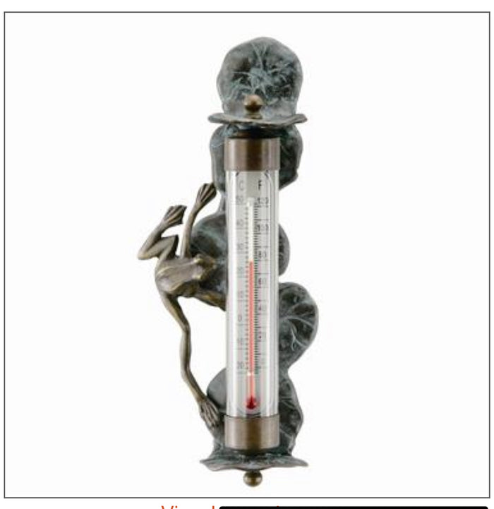 FROG Wall Mounted THERMOMETER by SPI Home