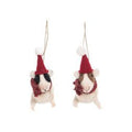 Gallerie II Guinea Pig Wool Orn, A/2