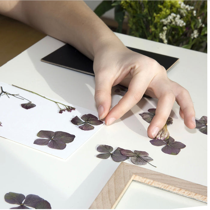 Huckleberry - MAKE YOUR OWN PRESSED FLOWER FRAME ART