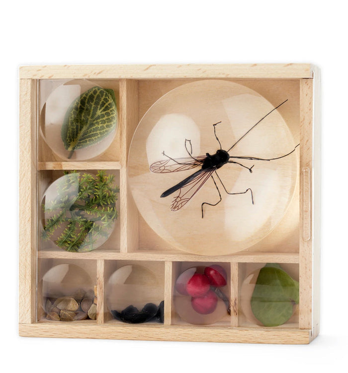 Huckleberry Bug Box
