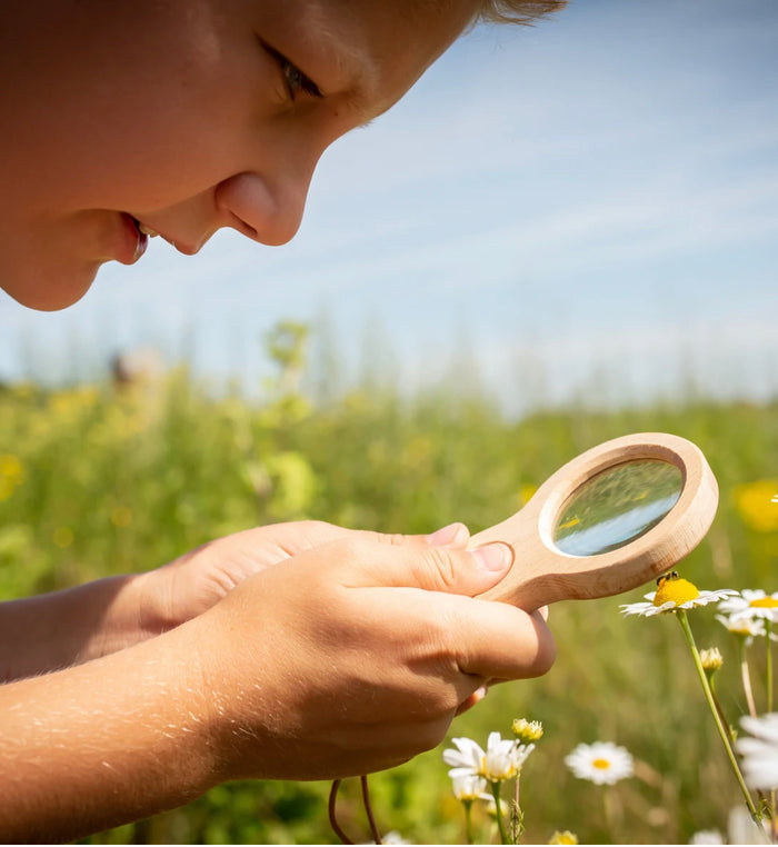 HUCKLEBERRY DUAL MAGNIFIER - Shatterproof Lens