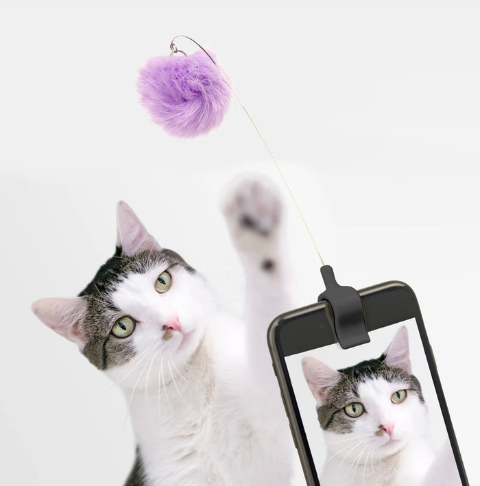 Kitty Phone Clip