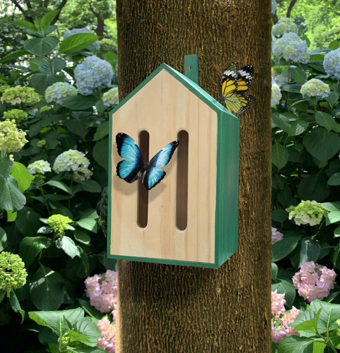 Little Butterfly House