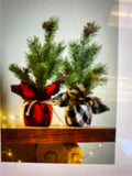 Pine Tree in Plaid Burlap Pot