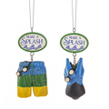 Swimming Ornaments