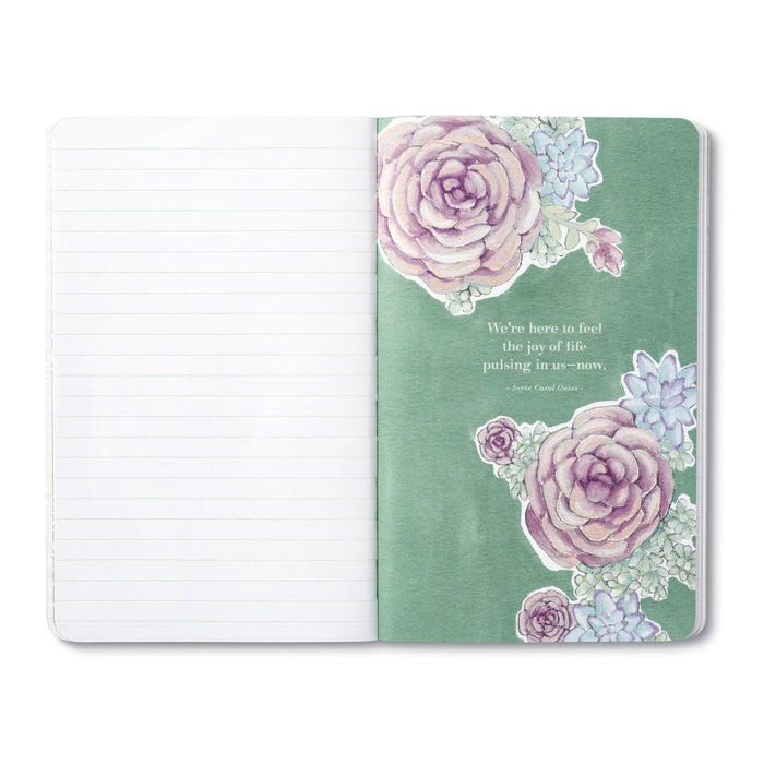 WRITE NOW -“EACH DAWN HOLDS A NEW HOPE FOR A NEW PLAN…” —GINA BLAIR